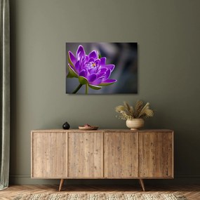 Tablou pe sticlă floarei (70x50 cm)