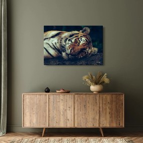Tablou - Tigrul Siberian (90x60 cm)
