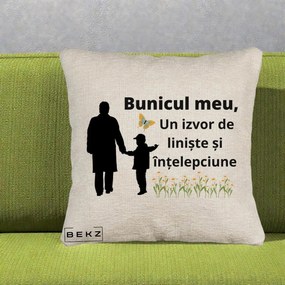 Cadou pentru Bunic - Perna Personalizata Bunicul Meu Izvor de Liniste cu Fluture si Baietel, 40x40 cm, Bej Canapea, Husa Detasabila, Perna Inclusa, BEKZ®