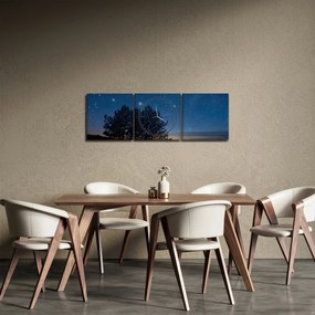 Tablou cu copaci noapte (cu ceas) (90x30 cm)