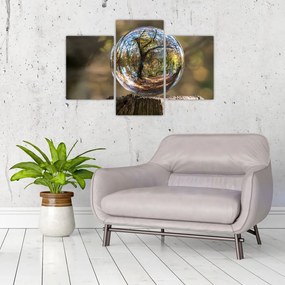 Tablou - Reflecție intr-o sferă transparentă (90x60 cm)