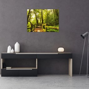 Tablou junglei cu mușchi (70x50 cm)