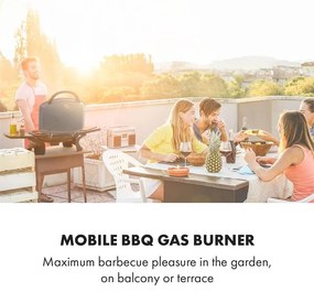 Parforce Duo, grătar pe gaz, 2 arzătoare, furtun pentru gaz, 4.4 kW, 15000 BTU, gri