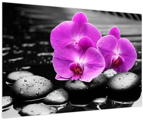 Tablou - Orhidee violet (90x60 cm)