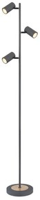 Lampadar, lampa de podea design industrial Robby grafit, maro