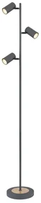 Lampadar, lampa de podea design industrial Robby grafit, maro