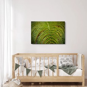 Tablou - Fern (90x60 cm)