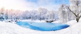 Tablou - Lac de gheață (120x50 cm)
