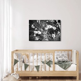 Tablou - Pânza de păianjen în pajiște (90x60 cm)