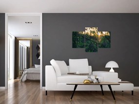 Tablou - Soarele strălucind printre crengile copacilor (90x60 cm)