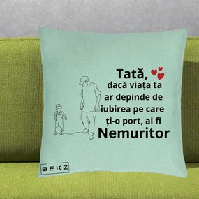Cadou pentru Tata - Perna Personalizata Tata Nemuritor Joaca cu Mingea, 40x40 cm, Verde Menta, Husa Detasabila, Perna Inclusa, BEKZ®