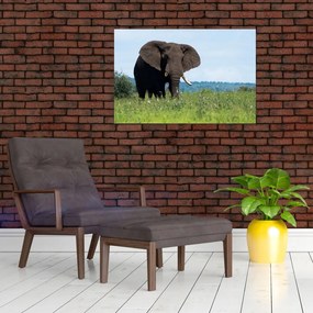 Tablou cu elefant (90x60 cm)