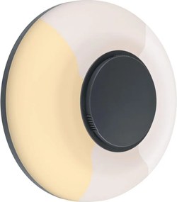 Paulmann 94955 - Aplică de perete pentru exterior LED/20,5W IP65, reglabilă AUREVA 230V