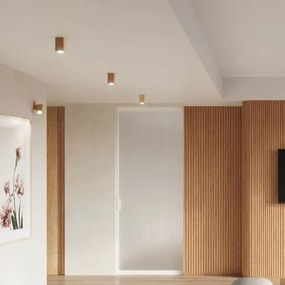 Spot KEKE 1xGU10/40W/230V 10 cm stejar Sollux SL.1040