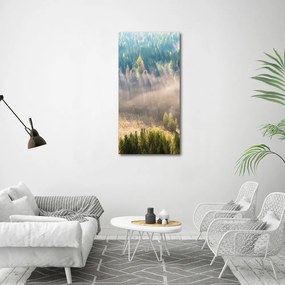 Tablou Printat Pe Sticlă Ceață peste pădure