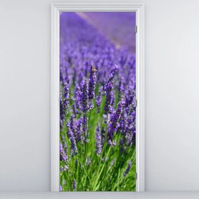 Fototapet pentru ușă - Lavandă (95x205cm)