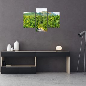 Tablou - Babi Hora, Polonia (90x60 cm)