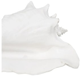 Statuetă din polirășină (înălțime 13 cm) Seashell – Ixia