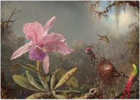 Tablou - Martin Johnson Heade, Cattleya Orchid and Three Hummingbirds, reproducere (70x50 cm)