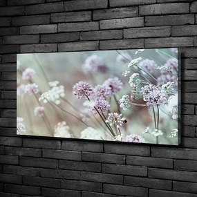 Print pe canvas Flori de câmp
