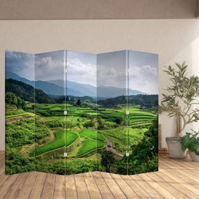 Paravan - Câmp de orez (210x170 cm)