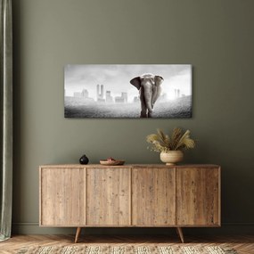 Tablou - Elefanți în oraș, versiunea alb-negru (120x50 cm)