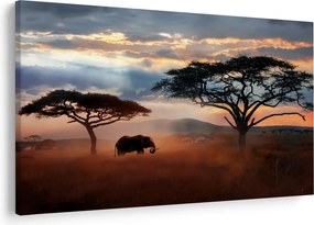 Tablou - Parcul Național Serengeti, Tanzania, Africa (90x60 cm)