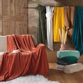Cuvertură maro din microflanel 180x220 cm Arya – douceur d'intérieur