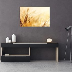 Tablou- detaliu cu (90x60 cm)