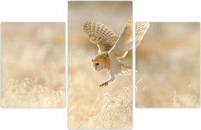 Tablou - Bufniță (90x60 cm)