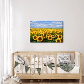 Tablou cu lan de floarea soarelui (90x60 cm)