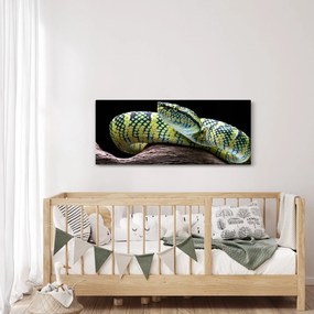 Tablou - Șarpele cu clopoței al lui Wagler (120x50 cm)