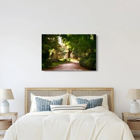 Tablou cu parc (90x60 cm)