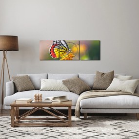 Tablou - Fluture pe floare (cu ceas) (90x30 cm)