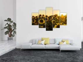 Tablou cu lan de floarea soarelui (150x105 cm)