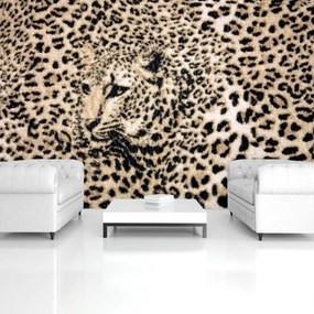 Fototapet - Fiara (152,5x104 cm)
