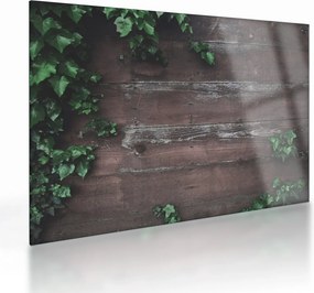 Tablou pe sticlă - Lederă (70x50 cm)