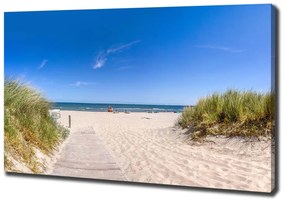 Tablou pe pânză Dune de coastă