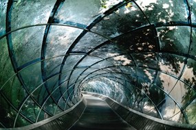 Tapet Tunnel of Glass, Rebel Walls