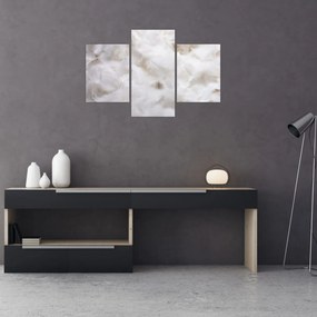 Tablou - Pene albe (90x60 cm)