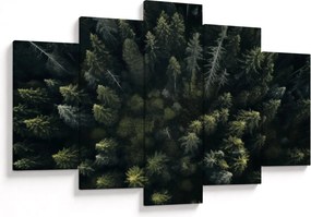 Tablou - Pădure (150x105 cm)