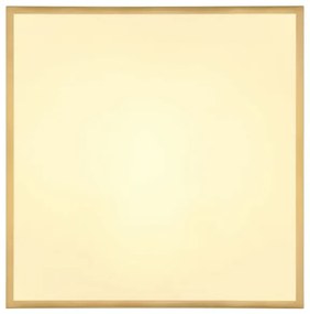 Plafonieră LED TIBEY LED/30W/230V 45x45 cm Globo 12382-30