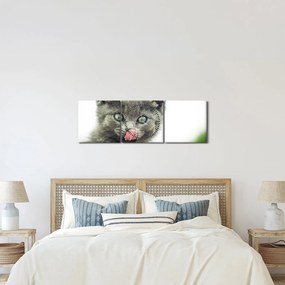 Tablou cu pisicuța lingându-se (cu ceas) (90x30 cm)
