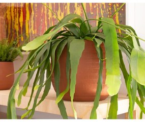 Ghiveci din ceramică făcut manual ø 16 cm Aura – Artevasi