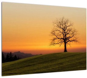 Tablou pe sticlă cu apus de soare pe o luncă (70x50 cm)