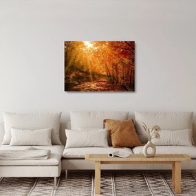Tablou pe sticlă cu pădurea în toamnă (70x50 cm)