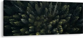 Tablou - Pădure (120x50 cm)