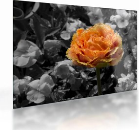 Tablou pe sticlă cu floare (70x50 cm)