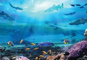 Fototapet - În ocean (147x102 cm)