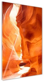Tablou acrilic Canion